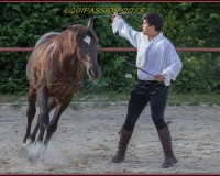 2-13JUIN 0226
